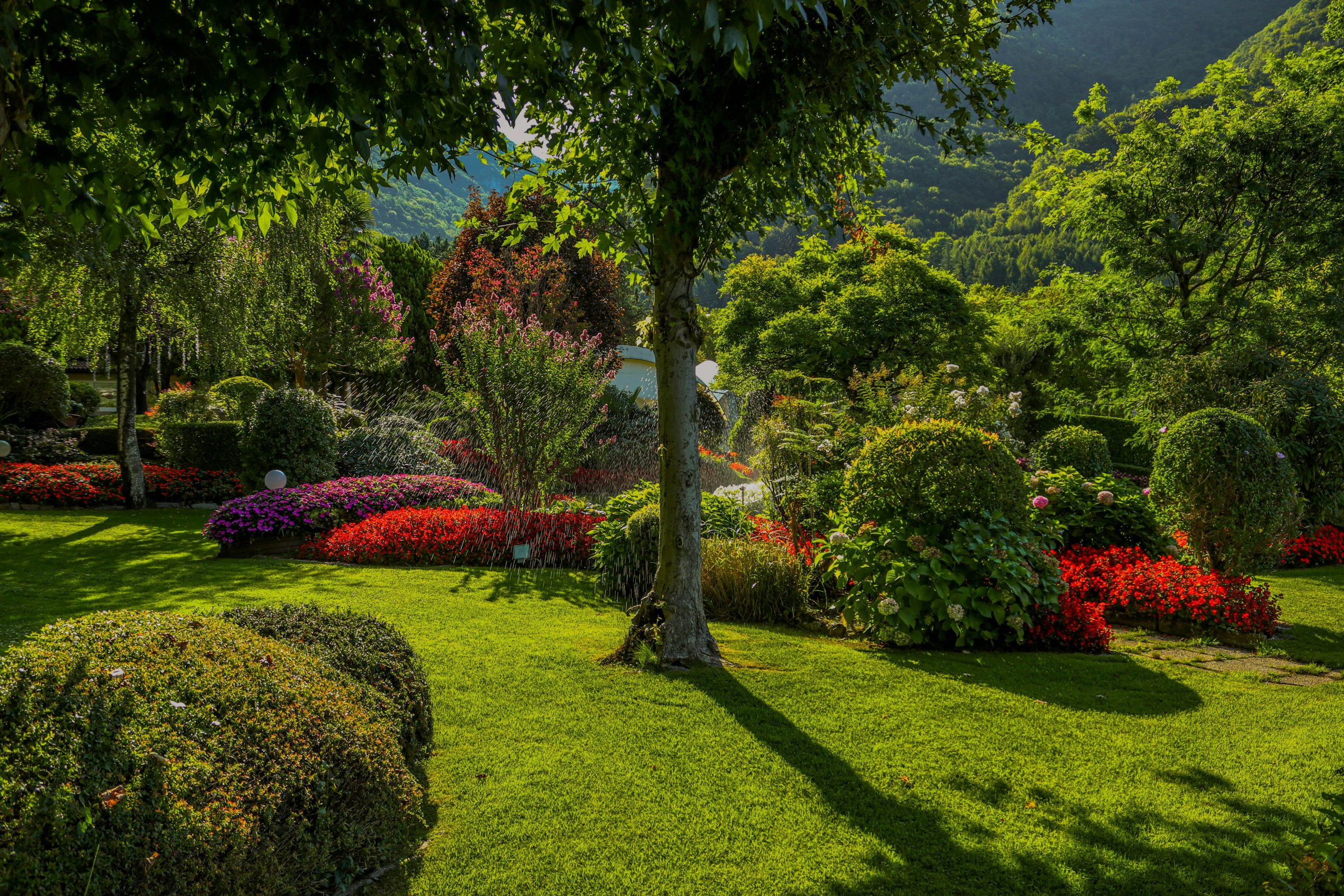 Garden scene ©Lorenza Magnaghi
